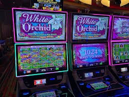 Notifikasi push aplikasi mia bet dan fitur cache lokal